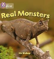Real Monsters: Band 03/Yellow - Nic Bishop - cover