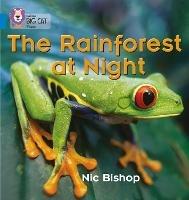 The Rainforest at Night: Band 04/Blue - Nic Bishop - cover