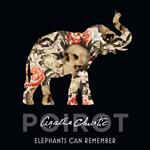 Elephants Can Remember