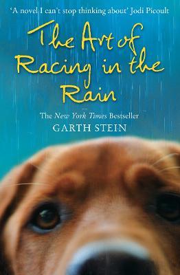 The Art of Racing in the Rain - Garth Stein - cover