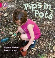 Pips in Pots: Band 01b/Pink B - Alison Hawes,Steve Lumb - cover
