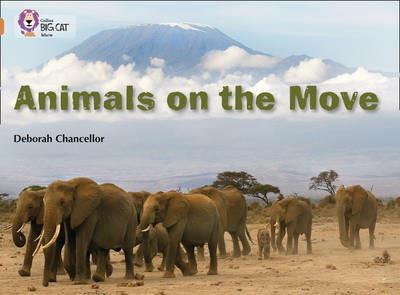 Animals on the Move: Band 12/Copper - Deborah Chancellor - cover