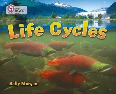 Life Cycles: Band 16/Sapphire - Sally Morgan - cover