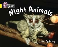 Night Animals: Band 03/Yellow - Louise Spilsbury - cover