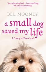 A Small Dog Saved My Life