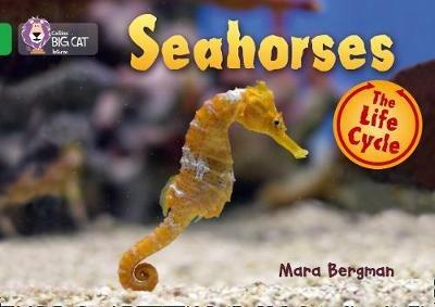 Seahorses: Band 05/Green - Mara Bergman - cover