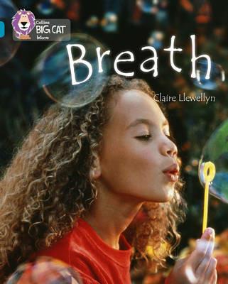 Breath: Band 13/Topaz - Claire Llewellyn - cover