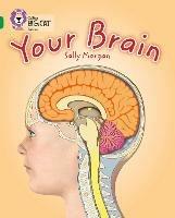 Your Brain: Band 15/Emerald - Sally Morgan - cover