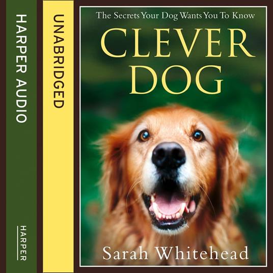 Clever Dog