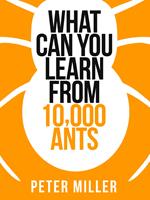 What You Can Learn From 10,000 Ants (Collins Shorts, Book 4)