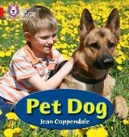 PET DOG: Band 02a/Red a - Jean Coppendale - cover