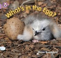 What’s in the Egg?: Band 00/Lilac - Moira Butterfield - cover