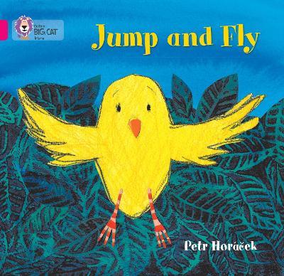 Jump and Fly: Band 01a/Pink a - Petr Horácek - cover