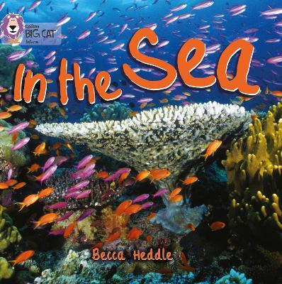 In the Sea: Band 01b/Pink B - Becca Heddle - cover