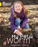 My Pet Worm: Band 03/Yellow - Sally Morgan - cover