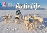 Arctic Life: Band 04/Blue - Sean Callery - cover