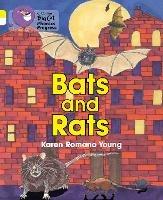 Bats and Rats: Band 03 Yellow/Band 10 White - Karen Romano Young - cover