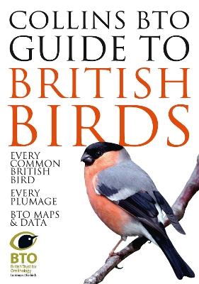 Collins BTO Guide to British Birds - Paul Sterry,Paul Stancliffe - cover