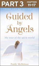 Guided By Angels: Part 3 of 3: There Are No Goodbyes, My Tour of the Spirit World