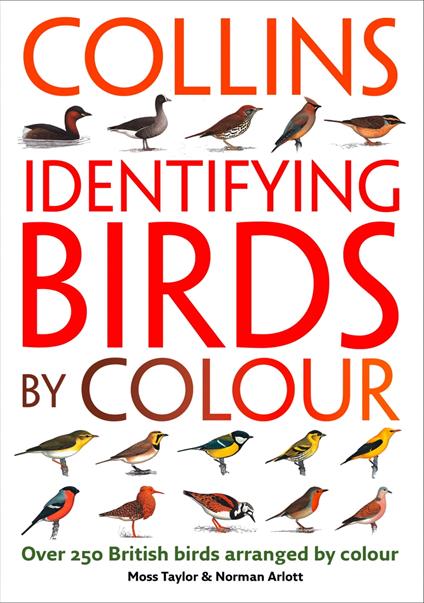 Identifying Birds by Colour