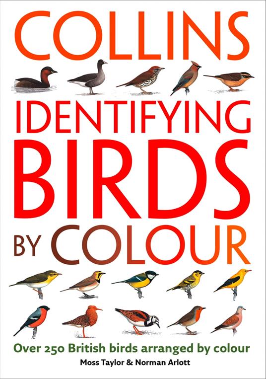 Identifying Birds by Colour