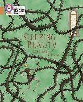 Sleeping Beauty: Band 12/Copper - Rachel Rooney - cover