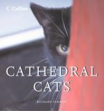 Cathedral Cats