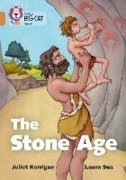 The Stone Age: Band 12/Copper