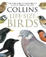Collins Life-Size Birds: The Only Guide to Show British Birds at Their Actual Size - Paul Sterry,Rob Read - cover