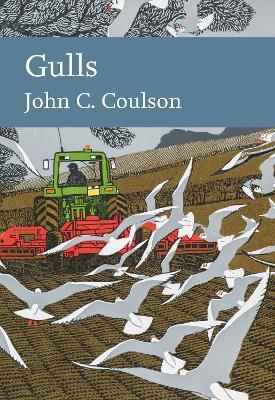 Gulls - Professor John C. Coulson - cover