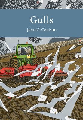 Gulls - Professor John C. Coulson - cover