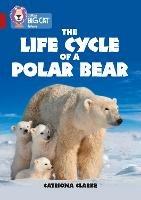 The Life Cycle of a Polar Bear: Band 14/Ruby - Catriona Clarke - cover
