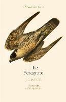 The Peregrine: 50th Anniversary Edition: Afterword by Robert Macfarlane - J. A. Baker - cover