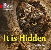 It is Hidden: Band 02b/Red B - Paul Harrison - cover