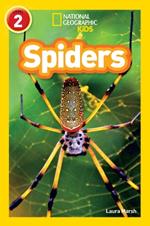Spiders: Level 2