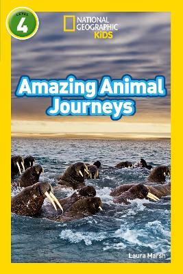 Amazing Animal Journeys: Level 4 - Laura Marsh,National Geographic Kids - cover