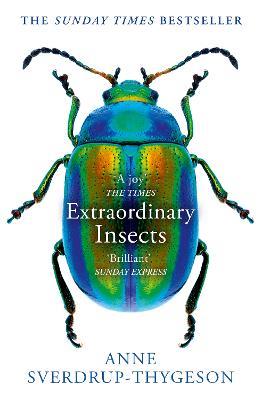 Extraordinary Insects: Weird. Wonderful. Indispensable. the Ones Who Run Our World. - Anne Sverdrup-Thygeson - cover