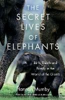 The Secret Lives of Elephants: Birth, Death and Family in the World of the Giants - Hannah Mumby - cover