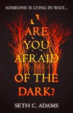 Are You Afraid of the Dark?