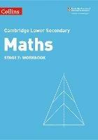 Lower Secondary Maths Workbook: Stage 7 - Alastair Duncombe,Rob Ellis,Amanda George - cover
