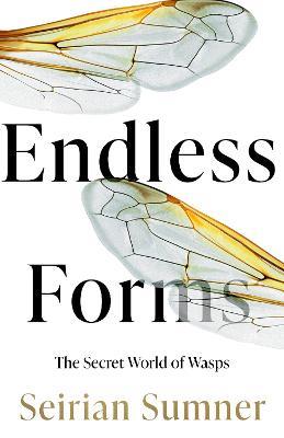 Endless Forms: The Secret World of Wasps - Seirian Sumner - cover