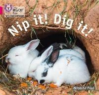Nip it! Dig it!: Band 01b/Pink B - Natasha Paul - cover