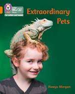 Extraordinary Pets: Band 06/Orange