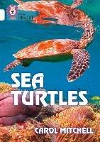 Sea Turtles: Band 10/White - Carol Mitchell - cover