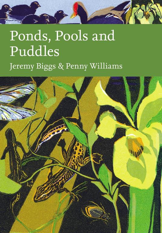 Ponds, Pools and Puddles (Collins New Naturalist Library)