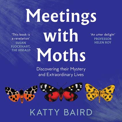 Meetings with Moths
