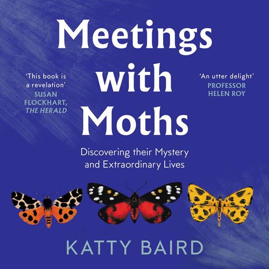 Meetings with Moths