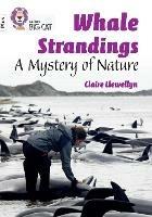 Whale Strandings: A Mystery of Nature: Band 10+/White Plus - Claire Llewellyn - cover