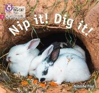 Nip it! Dig it!: Phase 2 Set 3 - Natasha Paul - cover