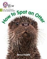 How to Spot an Otter: Phase 4 Set 2 - Becca Heddle - cover